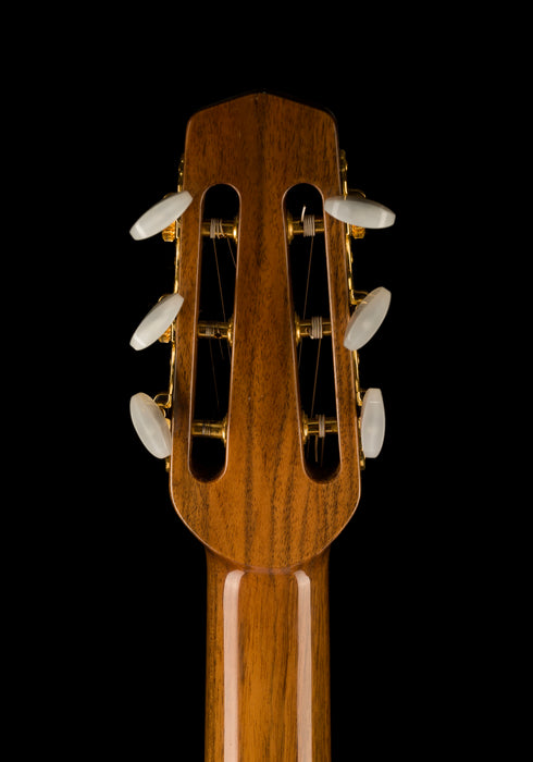 Pre Owned 2014 Dupont MD50R Gypsy Jazz Guitar Natural With HSC