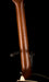 Martin GPC-16E Rosewood Acoustic Electric Guitar With Case