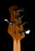 Ernie Ball Music Man StingRay Special 5 HH Bass Burnt Ends Roasted Maple With Case