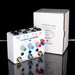 Used Old Blood Noise Endeavors Signal Blender Pedal With Box