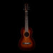 Pre Owned Martin Custom Shop Model 5-15 Size 5 Terz Acoustic Guitar With OHSC