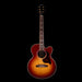 Gibson Parlor Rosewood EC Rosewood Burst with Case