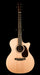 Martin GPC-16E Rosewood Acoustic Electric Guitar With Case