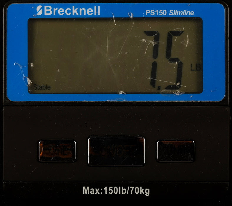 Pre Owned Ibanez George Benson GB-10 Hollow Body Guitar With OHSC