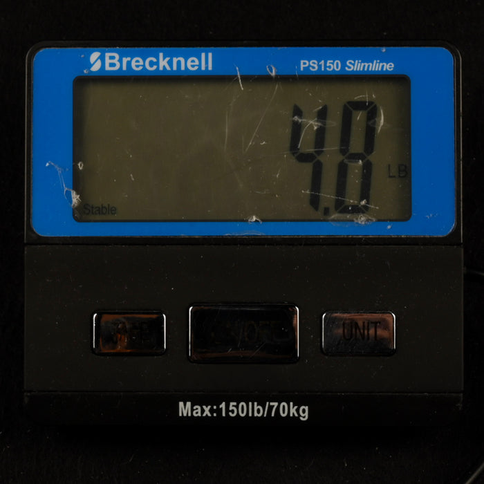 Pre Owned R. Taylor Style 1 Acoustic-Electric Guitar With Gig Bag