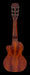 Gretsch G9126 A.C.E. Guitar-Ukulele Acoustic-Electric Honey Mahogany Stain Back