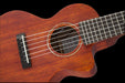 Gretsch G9126 A.C.E. Guitar-Ukulele Acoustic-Electric Honey Mahogany Stain Front Body Detail
