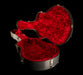 Pre Owned Calton Dreadnought Acoustic Case