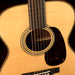 Martin Custom Shop 00-28 Deep Body Wild Grain East Indian Rosewood and Italian Alpine Spruce