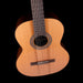 Used Kremona Soloist Series F65C Nylon String Classical Acoustic Guitar With Gig Bag