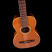 Pre Owned Art and Lutherie AMI Nylon String Parlor Guitar Natural With Gig Bag