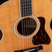Taylor Truetone Select Gold Label 814e Super Auditorium Black Walnut Amber With Case