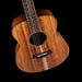 Taylor GS Mini-e Koa Acoustic Electric Guitar With Gig Bag