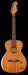 Fender Highway Series Parlor Rosewood Fingerboard All-Mahogany Acoustic Guitar With Case