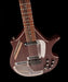 Pre Owned Jerry Jones Master Sitar With HSC