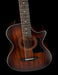 Taylor 362ce Grand Concert 12 String Acoustic Electric Guitar With Case