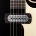 Taylor Prototype Crosstone Blacktop Electric Guitar with Case - Rare