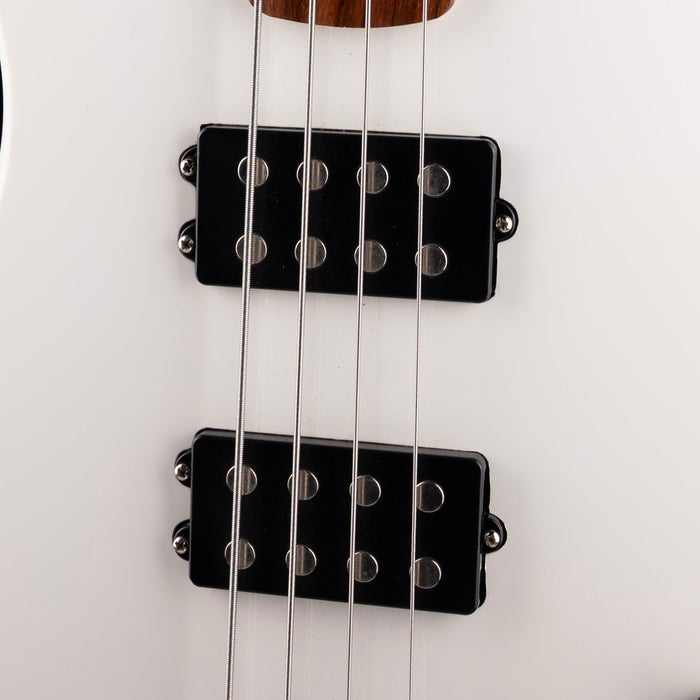 Pre Owned Gamma Custom H19-02 Kappa Model Bass