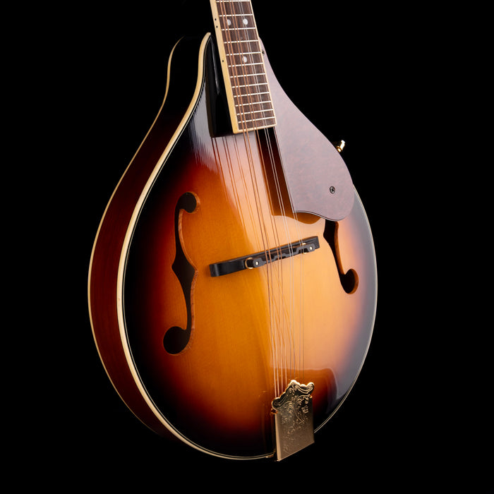 Used Fender FM-53S Mandolin Sunburst With Gig Bag