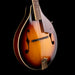 Used Fender FM-53S Mandolin Sunburst With Gig Bag