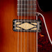 Pre-Owned King Snake Soulville Brown Sunburst with Gig Bag