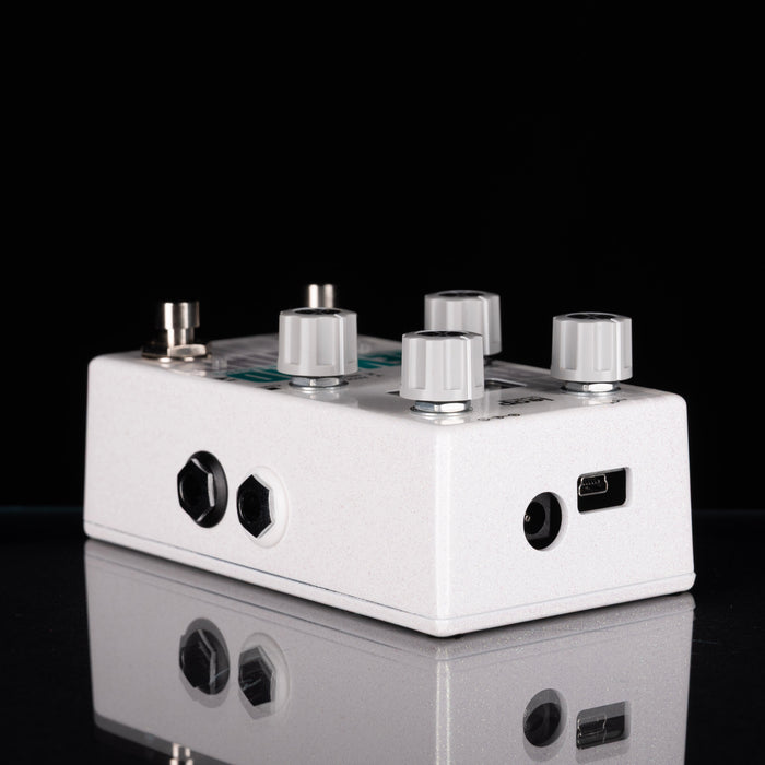 Alexander Rewind Programmable Echo Pedal with Box