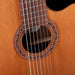Kremona Performer Series F65CW-7S VE Nylon 7-String Acoustic Electric Guitar with Gig Bag