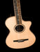 Taylor 812ce-N Grand Concert Nylon String Acoustic Electric Guitar with Case