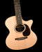 Martin GPC-16E Rosewood Acoustic Electric Guitar With Case