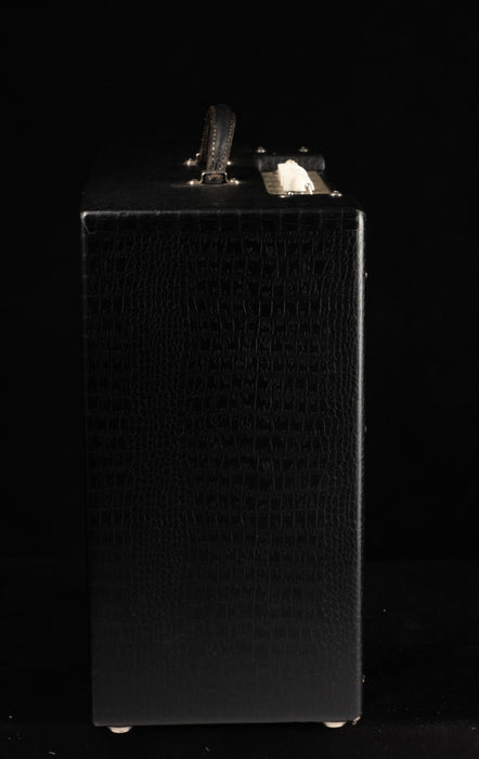 Used Magnatone Varsity Reverb Black Tolex TV Front Guitar Amp Combo With Tuki Cover