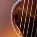 Gibson L-00 Special Satin Honey Burst with Gig Bag