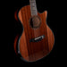 Taylor Builder's Edition 914ce Grand Auditorium Natural with Case