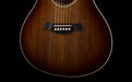 Taylor Limited Edition Custom Grand Concert C22e with Circa74 AV150-10 Amp - Catch # 25