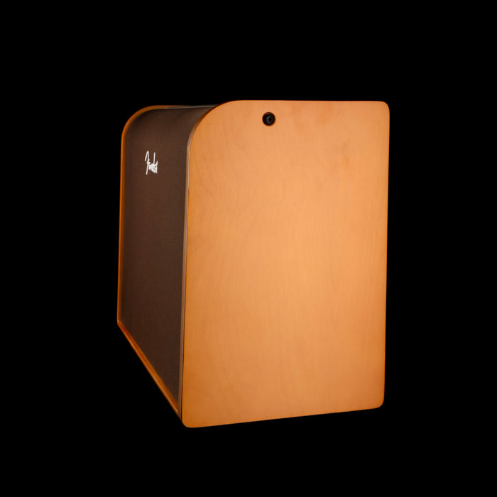 Pre Owned Fender Acoustic 100 Two Channel Acoustic Guitar Amp Combo