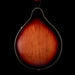 Used Fender FM-53S Mandolin Sunburst With Gig Bag