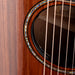 Taylor Builder's Edition 914ce Grand Auditorium Natural with Case