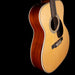 Martin Custom Shop OM-28 Cocobolo With Case