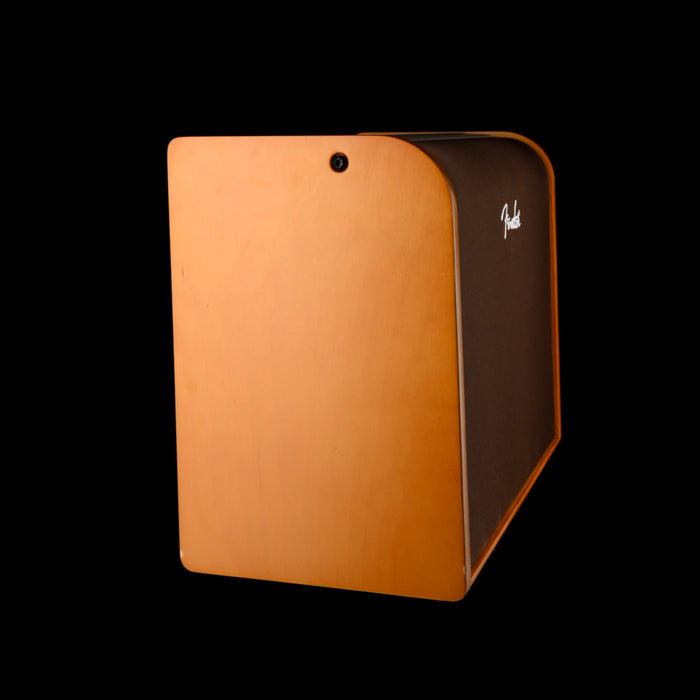 Pre Owned Fender Acoustic 100 Two Channel Acoustic Guitar Amp Combo