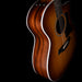 Taylor Special Edition 214ce Tigerwood Shaded Edgeburst Acoustic Electric Guitar With Case