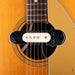 Pre Owned Vintage 1967 Fender Palomino Acoustic Guitar With OHSC