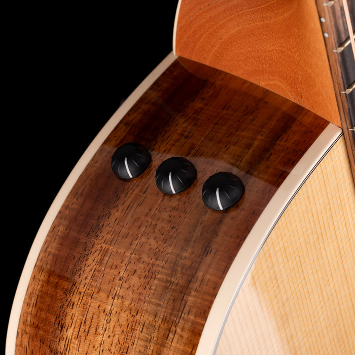 Taylor 214ce-K DLX Grand Auditorium Hawaiian Koa with Case