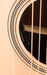 Martin GPC-16E Rosewood Acoustic Electric Guitar With Case