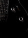 Pre Owned 1996 Gibson M-III Black With Gig Bag