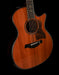 Taylor 50th Anniversary Builder's Edition 814ce LTD Acoustic Electric Guitar With Case