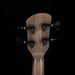 Close-up of a guitar headstock with tuning pegs on a black background