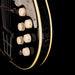 Vintage 1960's Kay Pro Thinline Model 1993 in Speed Demon Black With OSSC