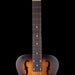 Pre Owned Dobro	F-60 Squareneck Brown Acoustic Guitar With OHSC