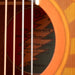 Used Alvarez AF65GD/MSHB Limited Edition Grateful Dead Acoustic With OHSC