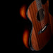 Taylor Builder's Edition 914ce Grand Auditorium Natural with Case