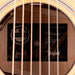 Taylor Truetone Custom Gold Label 817e Mahogany Natural with Case